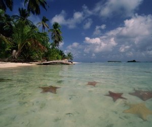 Isla Verde - Archipiélago San Blas.  Fuente Panoramio.com  Por: John Macdonald