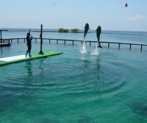 Acuario (Oceanario) en Islas del Rosario.  Fuente: Alicia Hinostroza Castillo