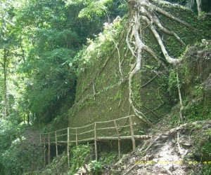 Ciudad Perdida Falan Tolima1 Fuente commondatastorage googleapis com